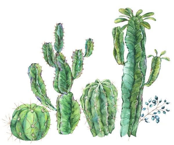 Kytice exotické přírodní vintage akvarel kaktus. Přírodní ilustrace — Stock fotografie