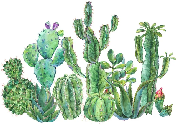 Egzotyczne naturalnym Kaktus akwarela rocznika kartkę z życzeniami. — Zdjęcie stockowe