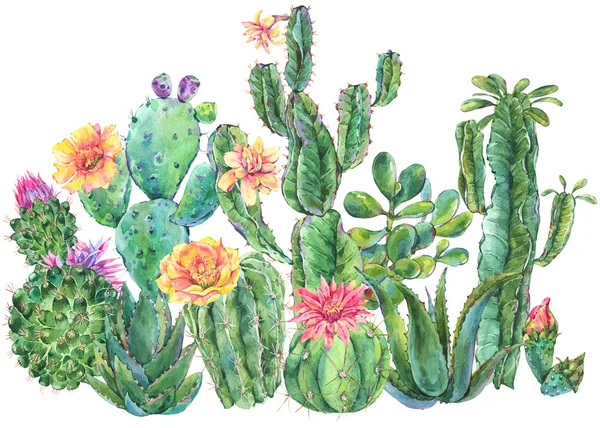 Egzotyczne Naturalne Vintage Akwarela Kwitnący Kaktus Kartkę Życzeniami Kaktus Soczyste — Zdjęcie stockowe