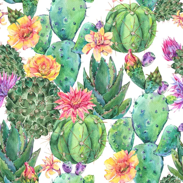 Exótico natural vintage acuarela cactus floreciente sin costura patte —  Fotos de Stock