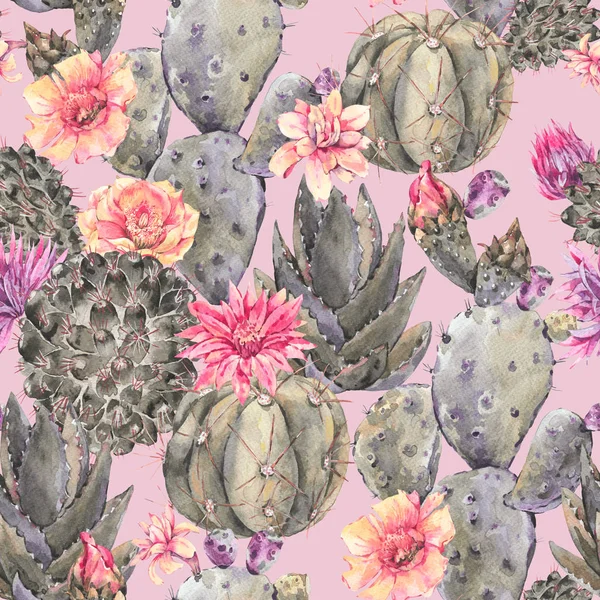 Exotische natuurlijke vintage aquarel bloeiende cactus naadloze patte — Stockfoto