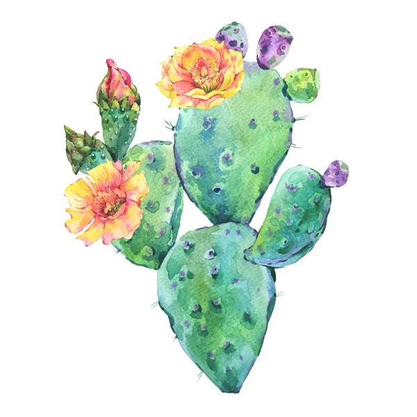 Exotic natural vintage watercolor blooming cactus greeting card — Stock Photo, Image