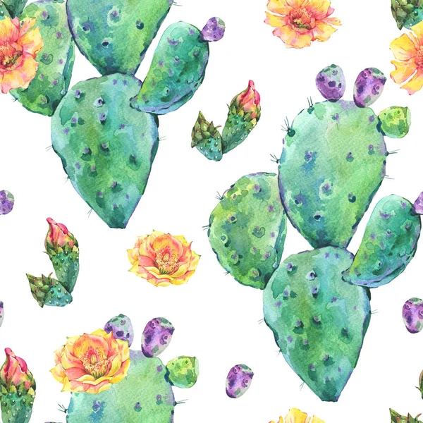 Exotic natural vintage watercolor blooming cactus seamless patte — Stock Photo, Image