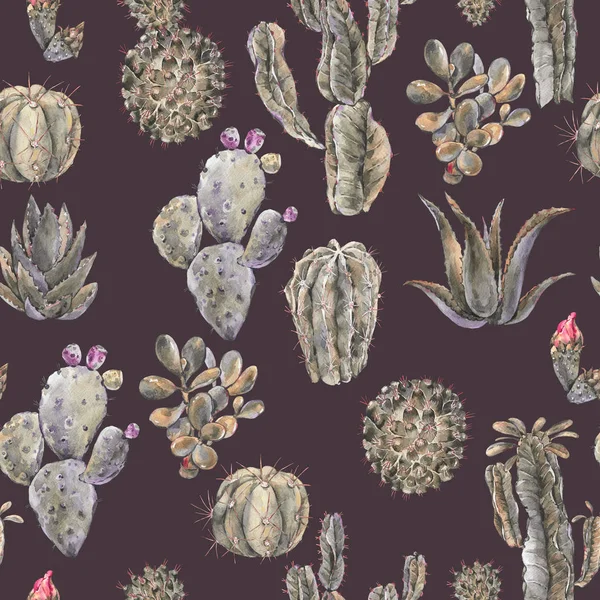 Exotische natürliche Vintage-Aquarell-Kaktus nahtlose Muster. — Stockfoto