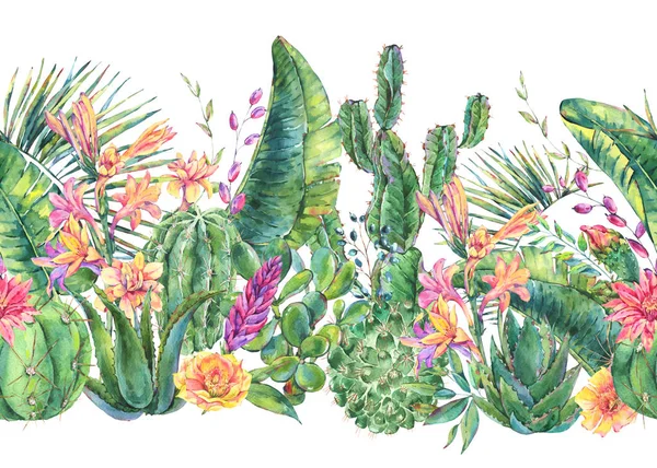 Exotic natural vintage watercolor blooming cactus seamless borde — Stock Photo, Image