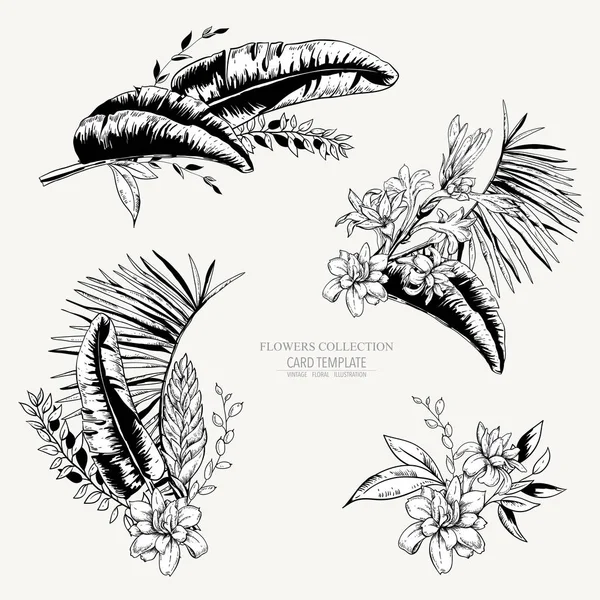 Vector monochroom set van tropische bladeren, exotische natuurlijke vintage — Stockvector