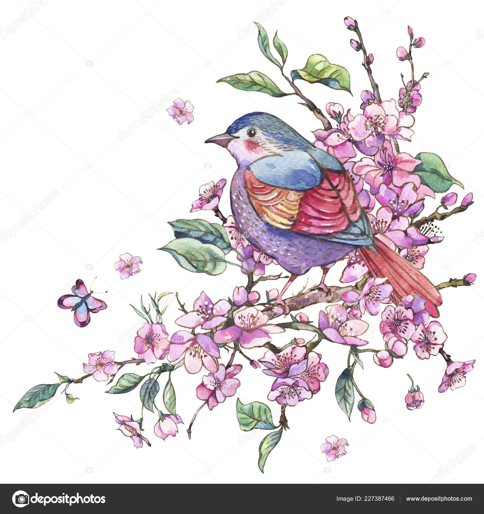 Download Watercolor Floral Spring Greeting Card Pink Blooming Branches O Stock Photo Image By C Depiano 227387466