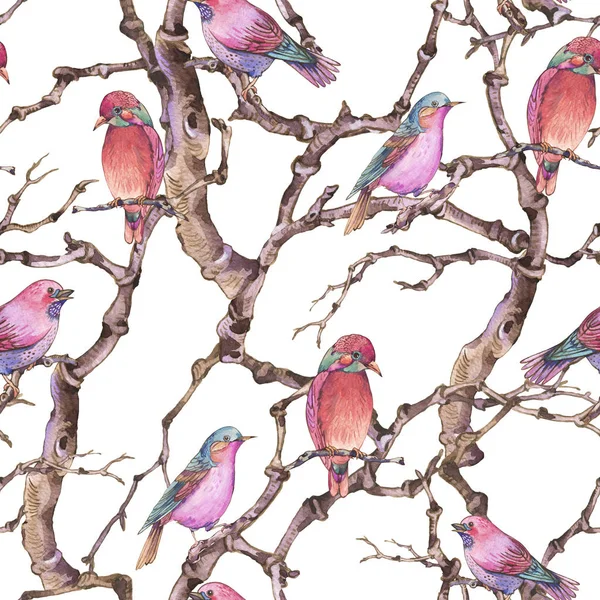 Akvarel zimní vintage botanických bezešvé vzor, ptáci větvička — Stock fotografie