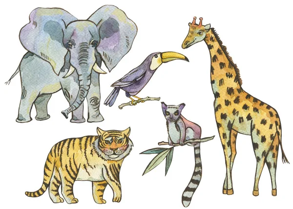 Акварельні тропічні елементи зі слоном, тигром, жирафом, лемуром — стокове фото