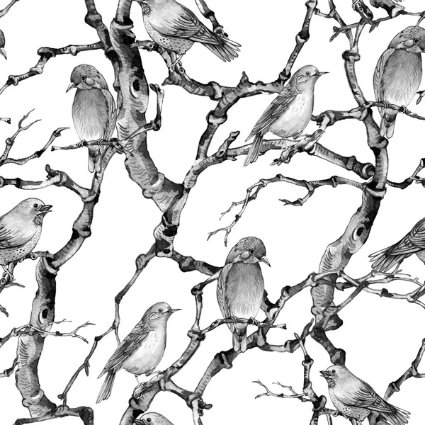 Gałązka ptaki akwarela zima vintage botaniczny bezszwowe wzór, — Zdjęcie stockowe