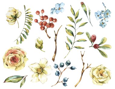 Şirin suluboya doğal çiçek kümesi beyaz gül, kır çiçekleri