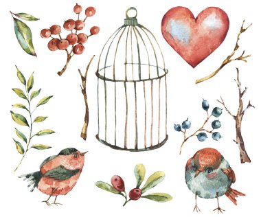 Şirin suluboya doğal çiçek dizi kuşlar, ağaç dal, kalp