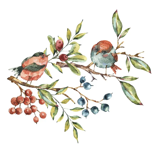 Söt akvarell naturliga blommig gratulationskort hos fåglar och kvistar — Stockfoto
