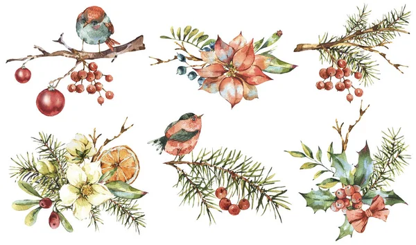 Aquarel set vintage florale decoratie van het nieuwe jaar met poinsettia — Stockfoto