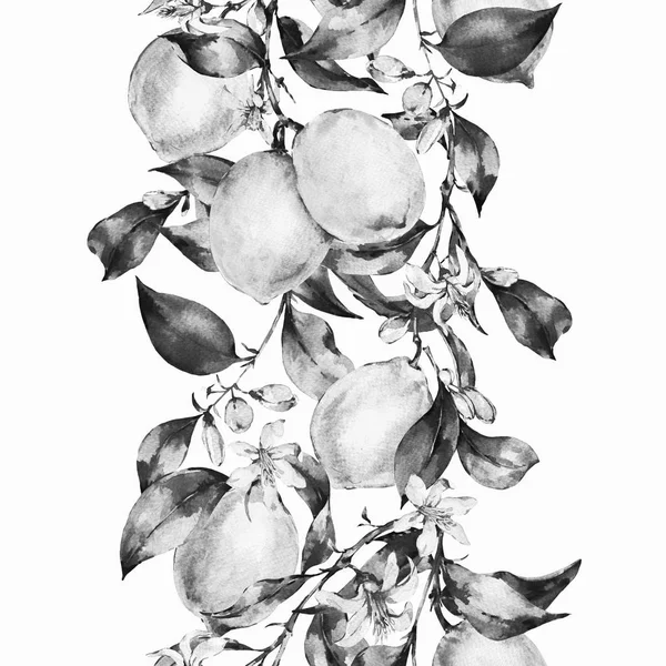 花イラスト写真素材 ロイヤリティフリー花イラスト画像 Depositphotos