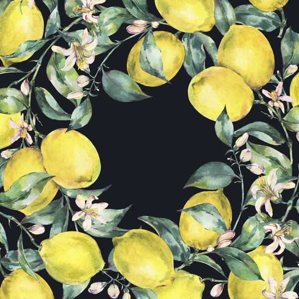 Carte de vœux vintage aquarelle, branche de fruit jaune citron — Photo