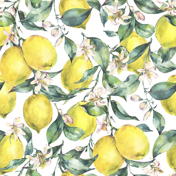 Watercolor vintage seamless pattern, branch of fruit lemon — Stock Photo, Image