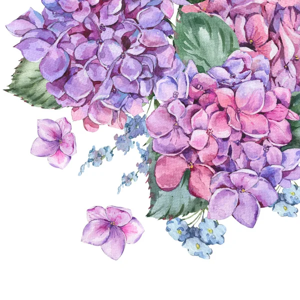 여름 수채화 피 플로 빈티지 꽃 인사말 카드 — 스톡 사진