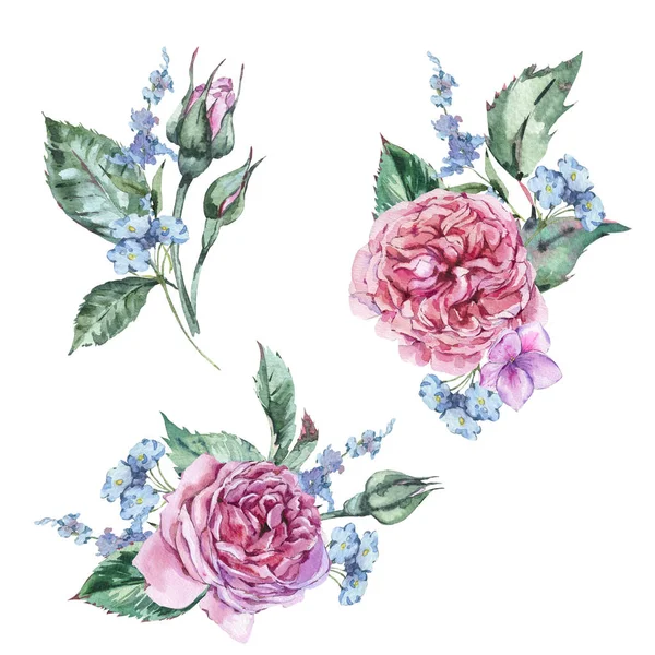 Klassische Aquarell Set Von Vintage Floralen Elementen Aquarell Strauß Rote — Stockfoto