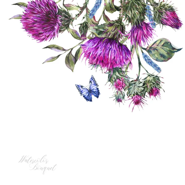 Aquarell Distel, blaue Schmetterlinge, wilde Blumen Illustration, — Stockfoto