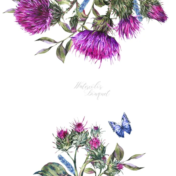 Watercolor thistle, blue butterflies, wild flowers illustration,