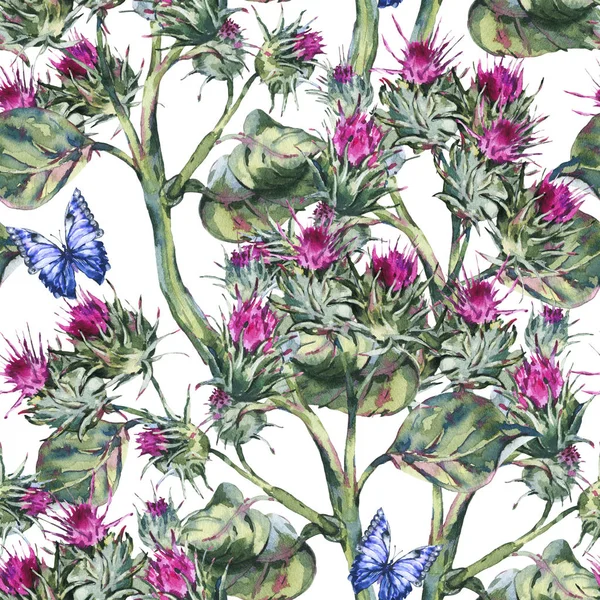 Watercolor thistle seamles pattern with blue butterflies, wild f — Stock Photo, Image