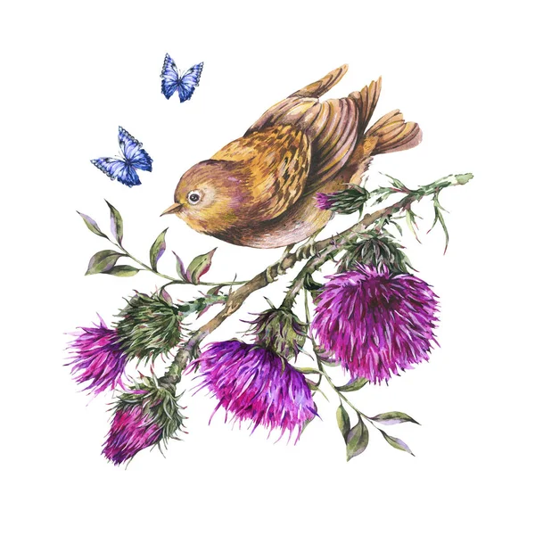 Akvarell madár a fióktelep bogáncs, kék pillangók, vad — Stock Fotó