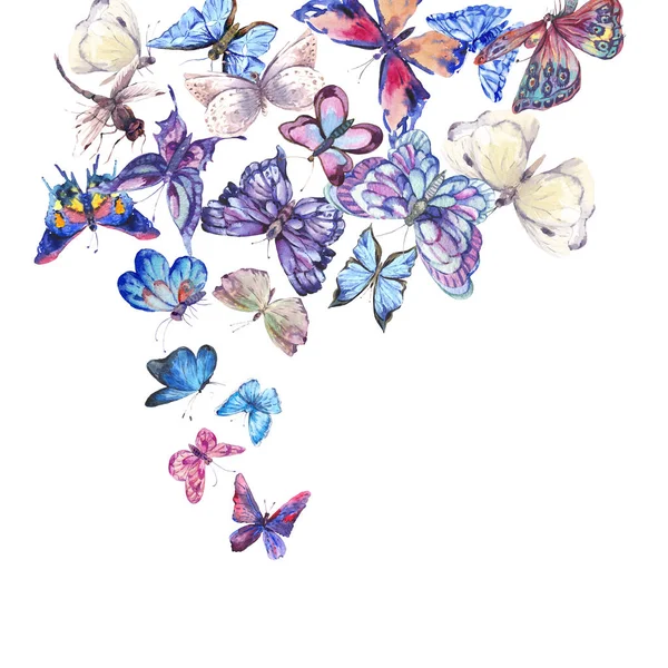 Watercolor butterflies vintage card, Ultraviolet butterfly — Stock Photo, Image