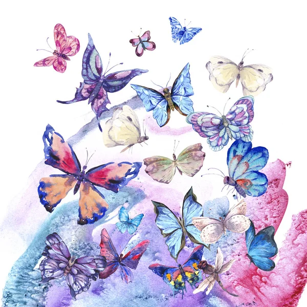 Akvarel starožitný průkaz, ultrafialový motýl — Stock fotografie
