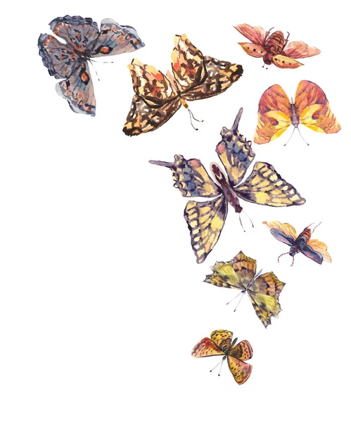 Акварельні коричневі і жовті метелики старовинні вітальні листівки — стокове фото