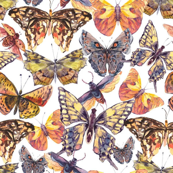 水彩蝶ヴィンテージシームレスパターン、カラフルな自然 — ストック写真