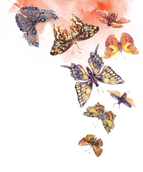 Watercolor brown and yellow butterflies vintage greeting card — Stock Photo, Image