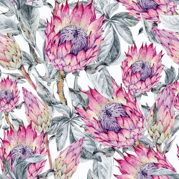 Tropische Aquarell nahtlose Muster von Protea-Blüten. exotische p — Stockfoto