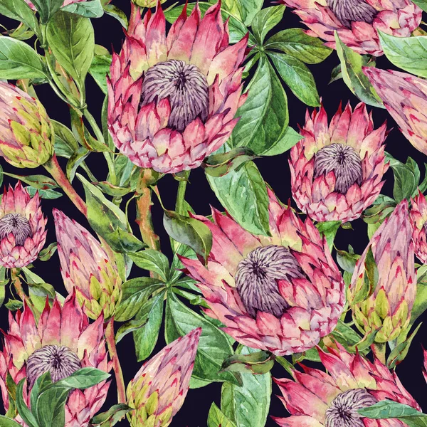 Padrão sem costura aquarela tropical de flores de protea. Exótico p — Fotografia de Stock