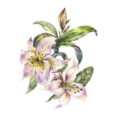 Suluboya Beyaz Kraliyet Lilyum Çiçek Greting Kart, Vintage Flor