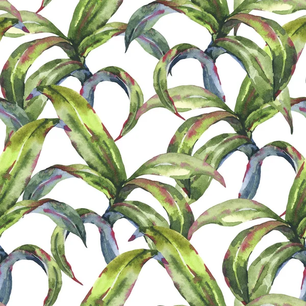 Vesiväri Saumaton eksoottinen tausta trooppisia lehtiä — kuvapankkivalokuva