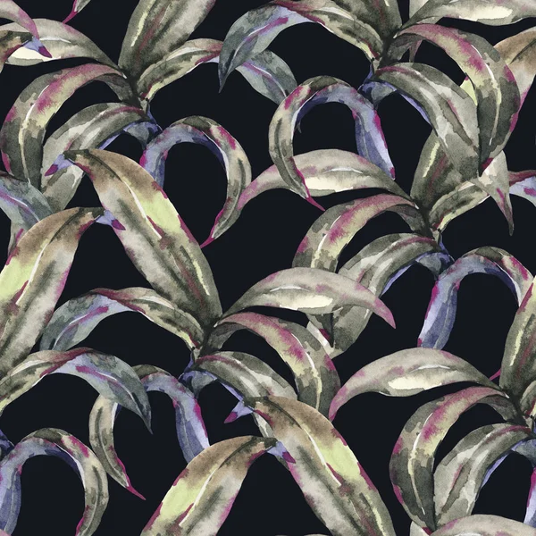 Акварель безшовного фону екзотичні з тропічних листя — стокове фото
