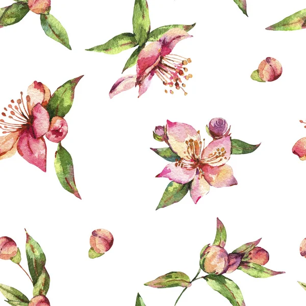 Aquarell Frühling nahtlose Muster, Vintage florales Rosa blüht — Stockfoto