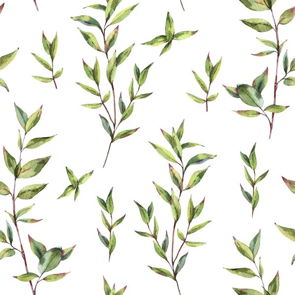 Watercolor Myrtle. Vintage Watercolor Seamless Pattern with Gree — Stock Photo, Image