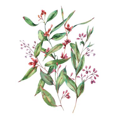 Suluboya Çiçeklenme Okaliptüs, Doğal Dikey Davetiye, Vin