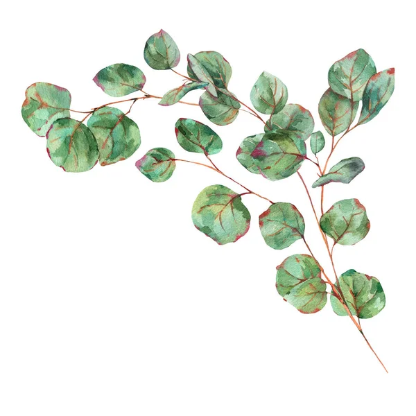 Feuilles d'eucalyptus aquarelle, invitation de mariage naturelle, millésime — Photo