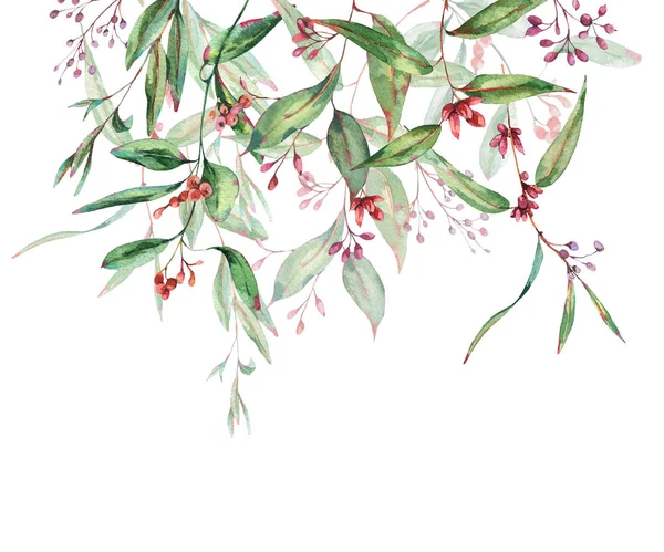 Акварель зелень вітальні листівки, квітучі евкаліпт, природні — стокове фото