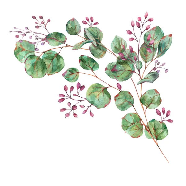 Aquarelle Eucalyptus en fleurs, Invitation de mariage naturel, Vint — Photo