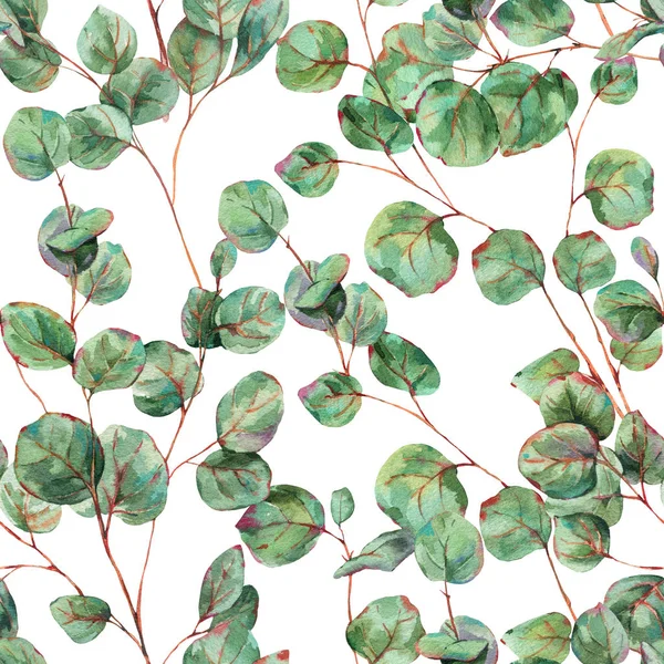 Watercolor Eucalyptus Leaves Seamless Pattern, Natural Vintage W — Stock Photo, Image