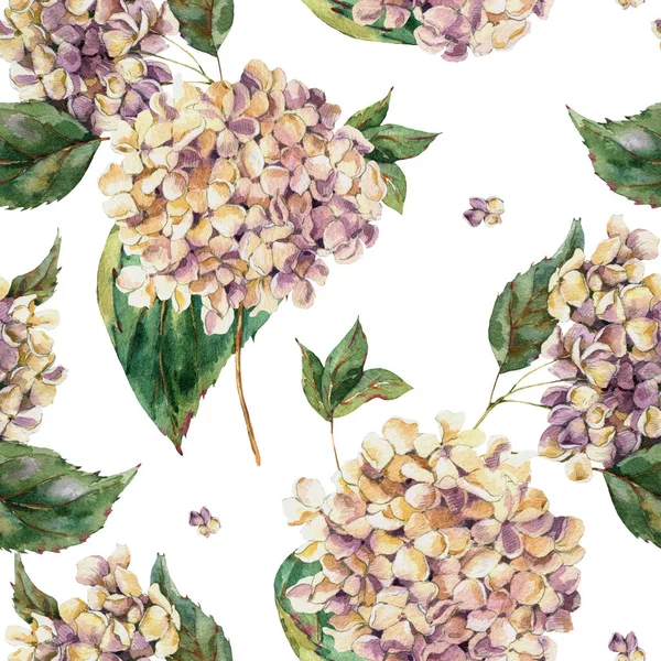 Watercolor Vintage Floral Seamless Pattern with Blooming White H — стокове фото