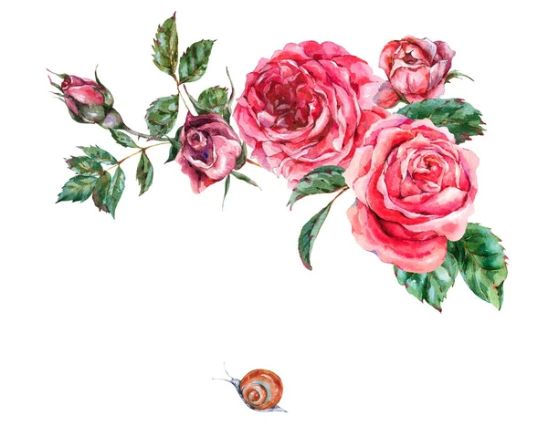Dekoracyjne vintage akwarela czerwone róże, Natura kartka z życzeniami wi — Zdjęcie stockowe