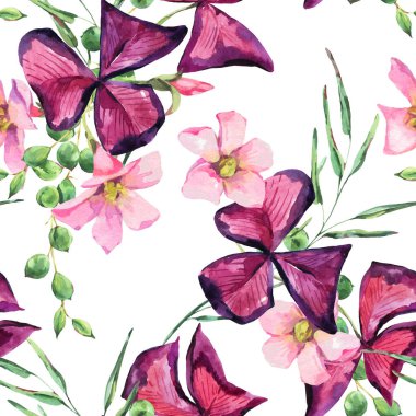 Suluboya yaz çiçekleri pürüzsüz desen, mor çiçek deseni. Beyaz arkaplanda Oxalis botanik duvar kağıdı.