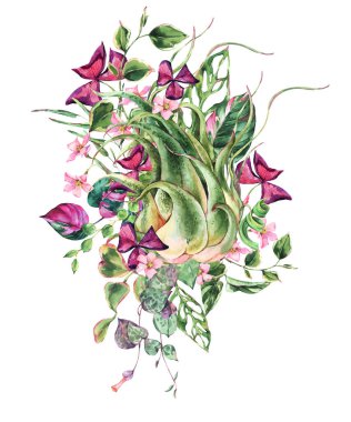 Çiçekli suluboya tropik yapraklar. Monstera, Tillandsia Hava Santrali botanik çizimi. Sulu yaz bitkileri. Beyaz arka planda izole edilmiş doğal egzotik çiçekler.