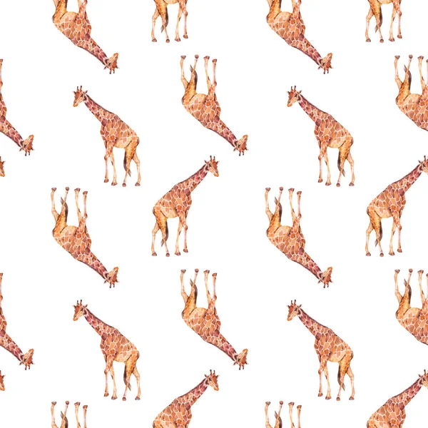 长颈鹿的水彩画在白色背景上是无缝图案 丛林动物壁纸 — 图库照片