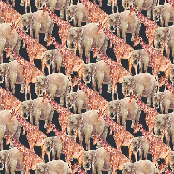 Elefante Jirafa Acuarela Patrón Sin Costuras Sobre Fondo Negro Selva —  Fotos de Stock